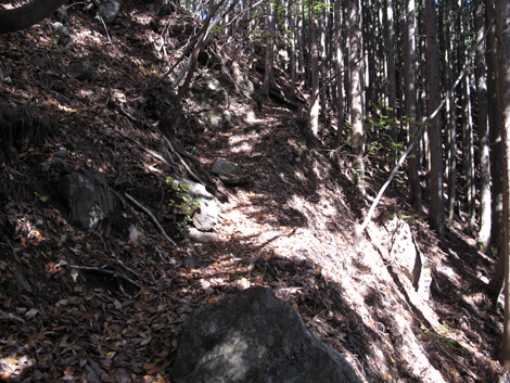 20151116hike (66)